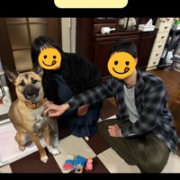 家族に迎えられた犬