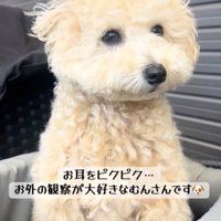 いろんな音に興味津々