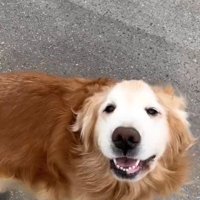 「会えてよかった！」