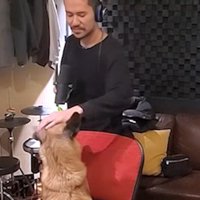 パパに付き合うアキちゃん3