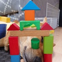 積み木のお城を通過する風太くん