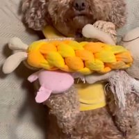 虚無顔の茶々丸くん