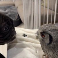 気になりすぎる存在…