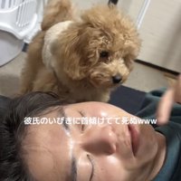 起きて顔を背ける男性