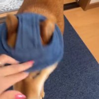 取ろうとすると…