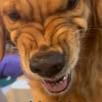 普段は怒らないけど…