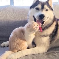 気を付けながら口を閉じる