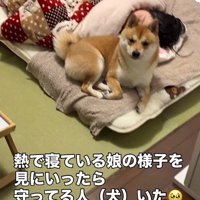 心配してくれているようです