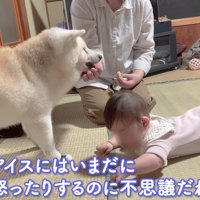 相思相愛なふたりです
