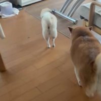 一緒