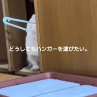 ハンガーを持って入りたい！！