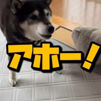 叫ぶこうめちゃん