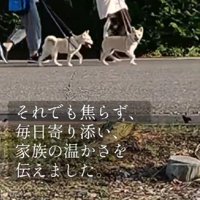 少しずつ心の距離を縮める