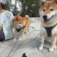 自然に囲まれてのんびり