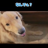 無邪気なコロッケくん
