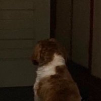「戻ってくるはず…」