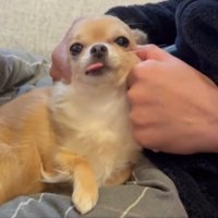 ご満悦