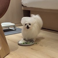 シャワー