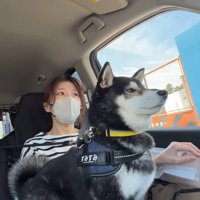 「あれ？なんか変だな…」