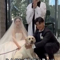 新郎新婦と並んで座る犬