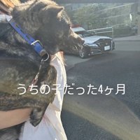 投稿者さんのもとで4ヶ月生活