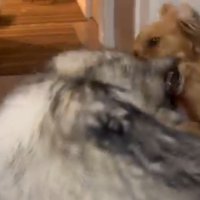 「息が！息ができない！！」