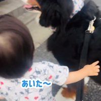 話しかける男の子