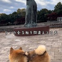 銅像の周りを歩くあずきちゃん