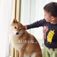 また会いたいな