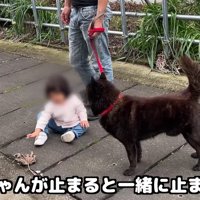 止まったら止まる…