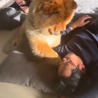 眠っている男性の顔に前足をつける犬