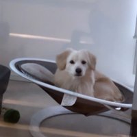 こたつ君と赤ちゃんの日常7