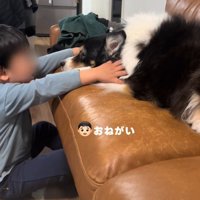 「ちょっとどいてね」