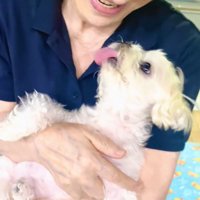 犬と見つめ合って笑顔になる女性