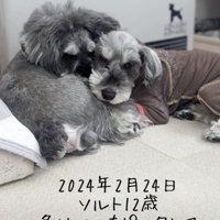 大の仲良し