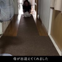 感動の再会にホッコリ♡
