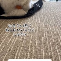 ボールを守りながら一休み