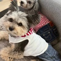 寂しくなるときはあるけれど…