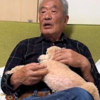 抱っこされて眠る犬