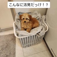 いたずらっ子なうるちゃんでした！！