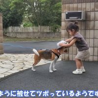 頭にボウルを被せて…