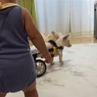 車椅子に挑戦する琥珀くん7