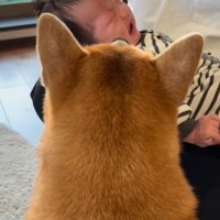 いとちゃんの成長記録⑩