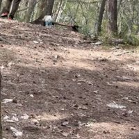 まだ気が付いてないみたい