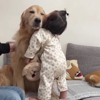 優しく受け止めるおからちゃん