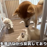 必死な姿が可愛い♡