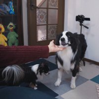 許してくれたようです♪
