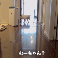 武蔵くんを呼んだ時の態度の差8