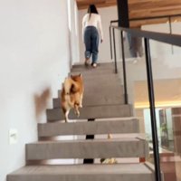 ママへの愛があふれる…