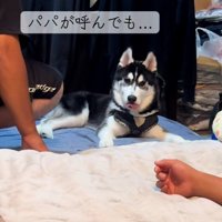 塩対応のアイスくん1